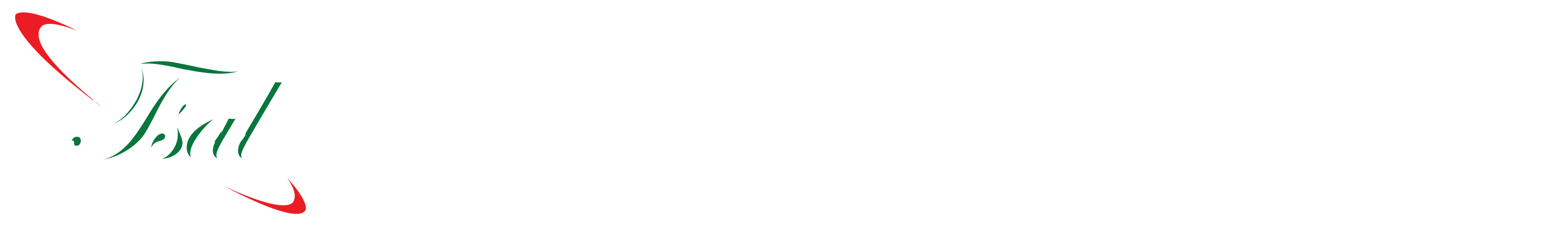 Trendysa logo